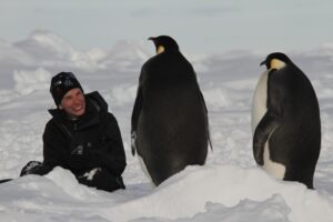 swiss_polar_institute_pinguins