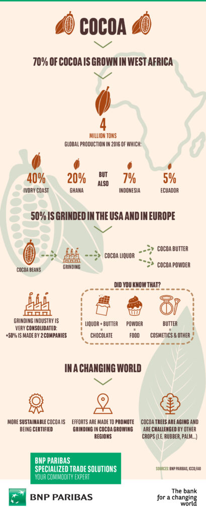 BNP Paribas_STS_Infographic_Cocoa