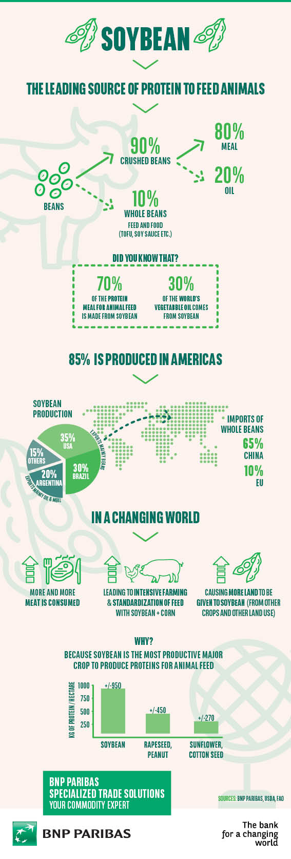 171204_STS_Infographic_Soy Bean_V7