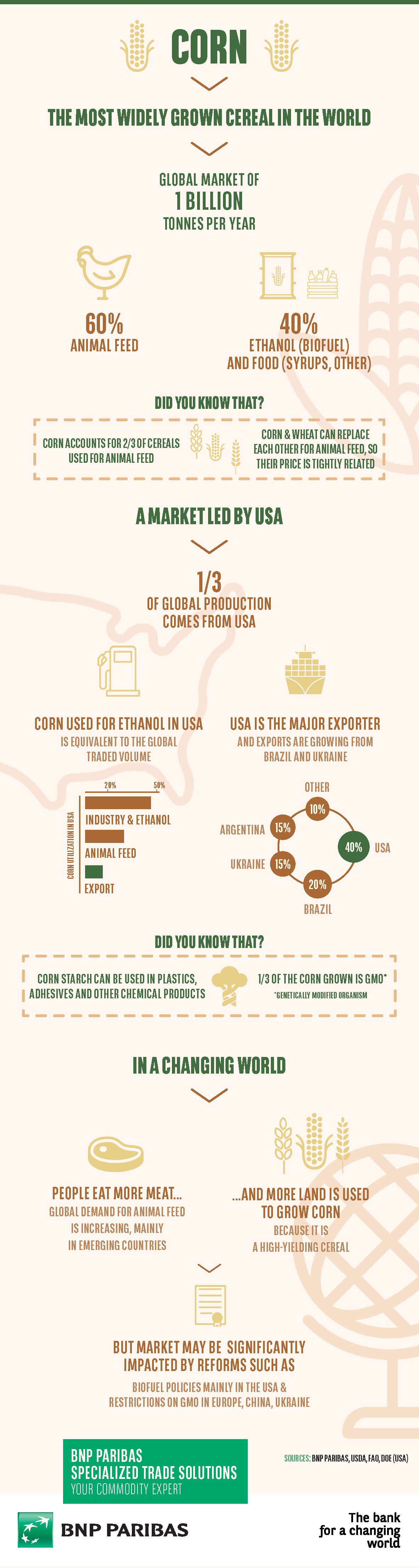 Infographic on Corn 