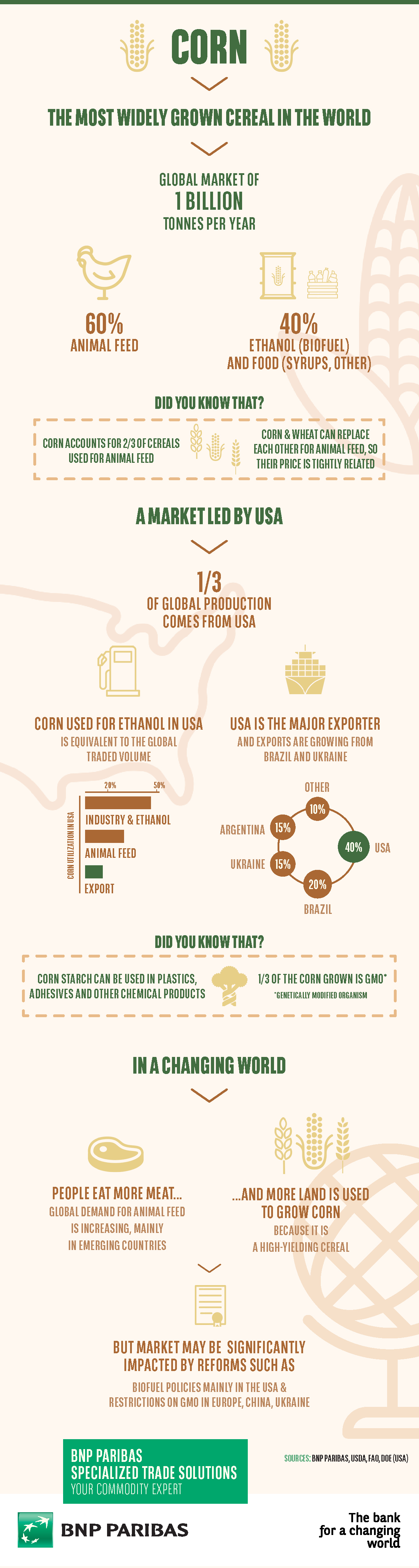 Infographie sur le maïs